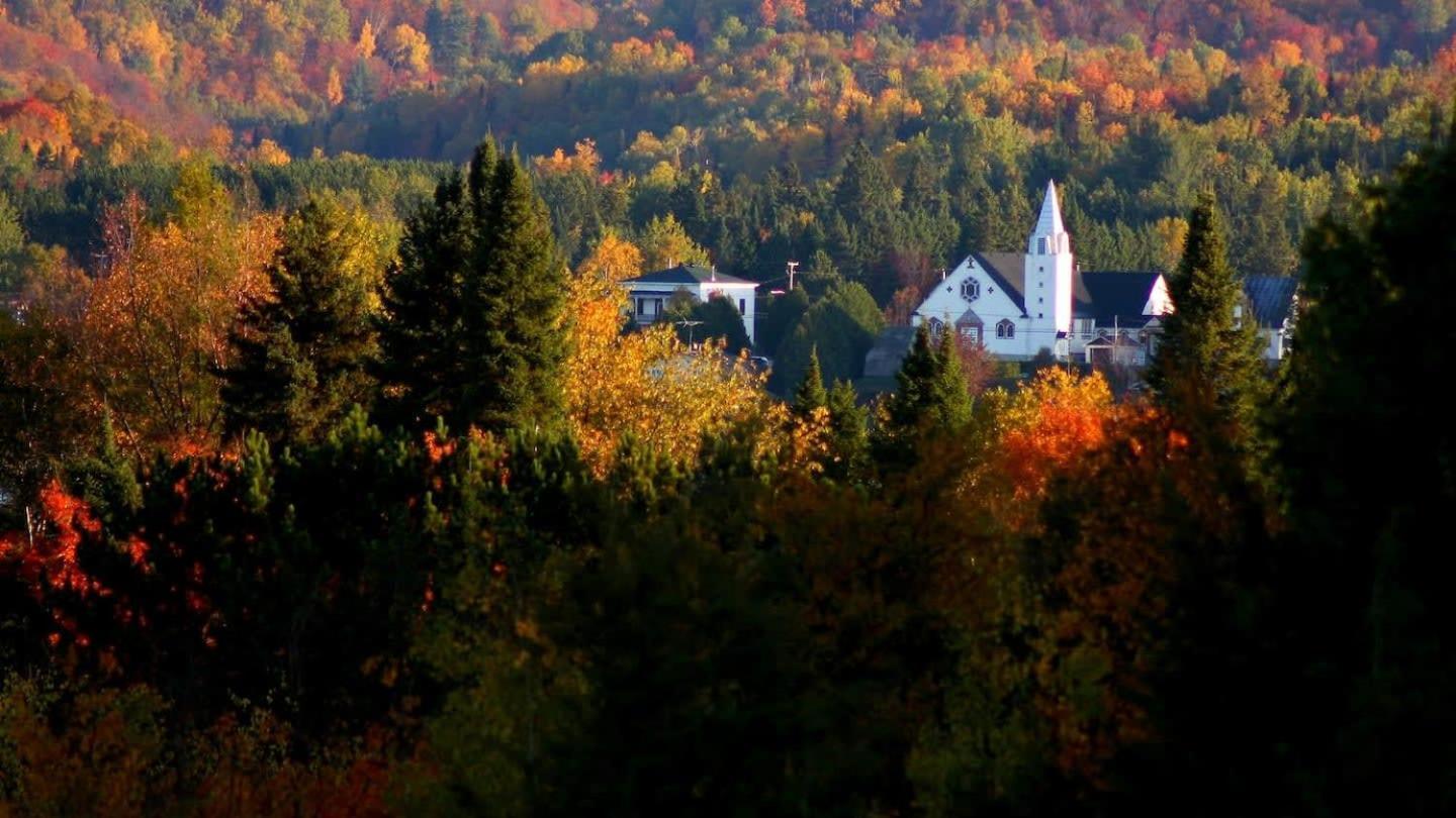 Your Cozy Cabin Retreat Saint-Remi-d'Amherst Экстерьер фото